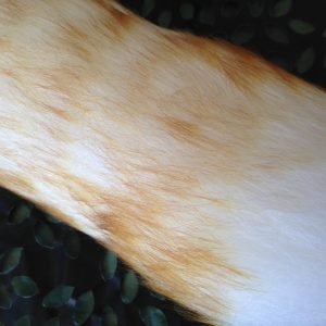 Natural Lambswool Duster